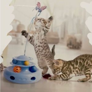 Automated Interactive Cat Toy